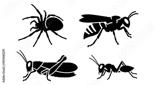 Insect and Arachnid Silhouettes Set: Spider, Wasp, Grasshopper, and Ant Icons
