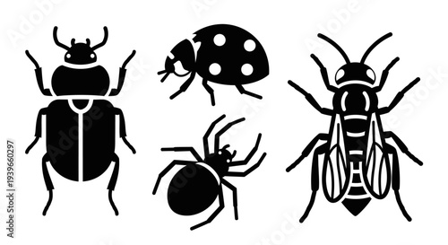 Insect and Bug Silhouettes Collection: Beetle, Ladybug, Spider, and Wasp Icons