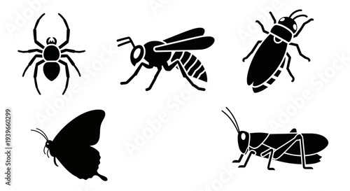 Insect and Bug Silhouettes Collection: Spider, Wasp, Beetle, Butterfly, Grasshopper Icons