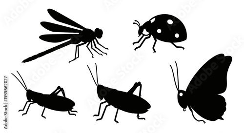 Insect Silhouettes Collection: Dragonfly, Ladybug, Grasshopper, Butterfly Vector Set