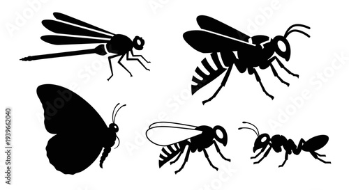 Insect Silhouettes Collection: Dragonfly, Wasp, Butterfly, Ant Vector Icons