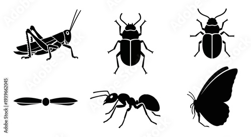 Insect Silhouettes Collection: Grasshopper, Beetles, Ant, Butterfly Vector Icons Set