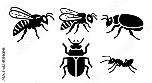 Insect silhouettes collection: wasp, bee, beetle, and ant icons on white background