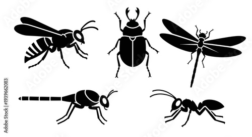 Insect Silhouettes Collection: Wasp, Beetle, Dragonfly, and Ant Set on White