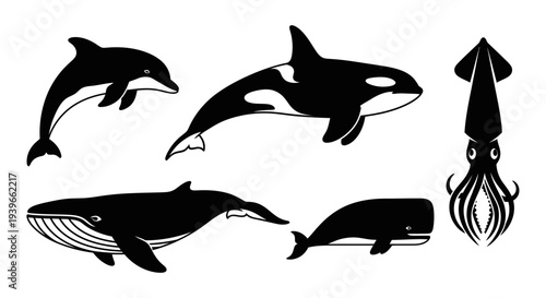 Marine Animals Silhouettes Set: Dolphin, Orca, Whales, and Squid Graphic Collection