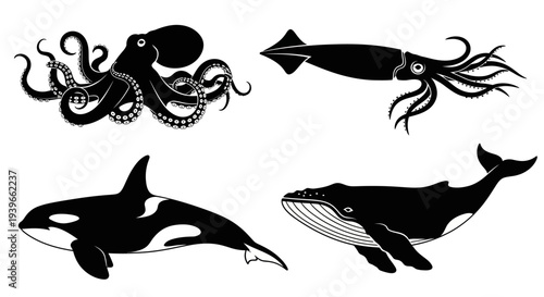 Marine Animals Silhouettes Set: Octopus, Squid, Orca, Whale Icons Collection