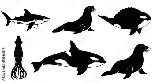 Marine Animals Silhouettes Set: Shark, Orca, Squid, and Seal Icons