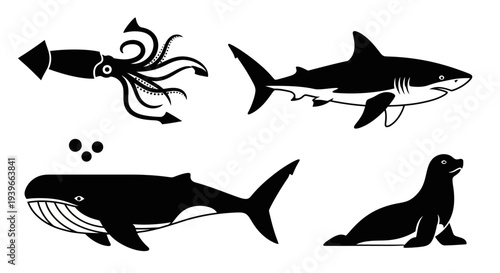 Marine Animals Silhouettes Set: Squid, Shark, Whale, and Seal Ocean Wildlife Icons