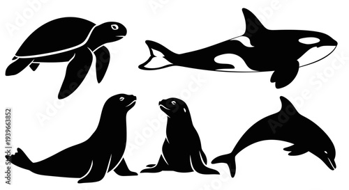 Marine Animals Silhouettes Set: Turtle, Orca, Seals, and Dolphin Vector Illustration