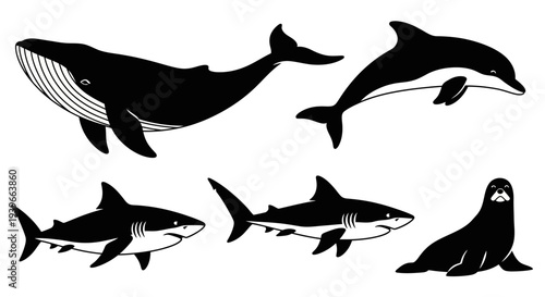 Marine Animals Silhouettes Set: Whale, Dolphin, Sharks, and Seal