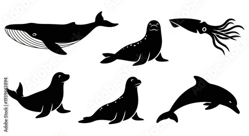 Marine life silhouettes set: whale, seals, sea lions, squid, and dolphin vector collection