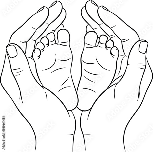 Newborn baby feet held in adult hands outline illustration showing parental love and protection on transparent background