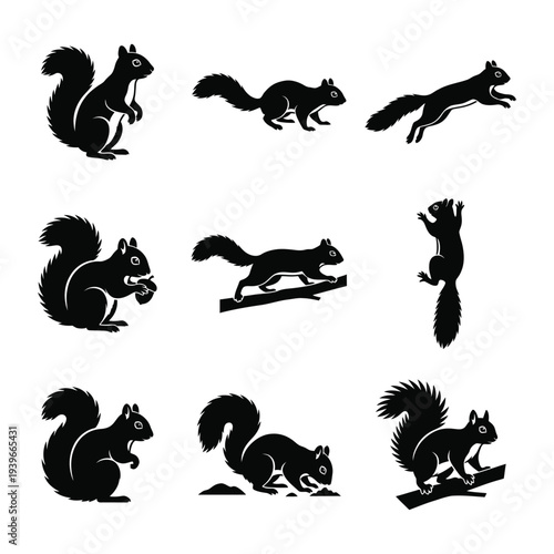 Squirrel Silhouette Vector Collection - Various Poses and Actions Set