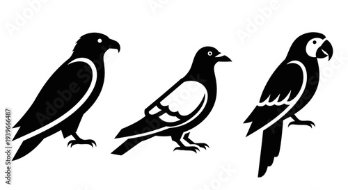 Set of bird silhouettes: eagle, pigeon, and parrot icons on a white background