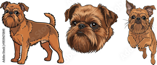 Brussels Griffon dog headshot standing side profile jumping pose set
