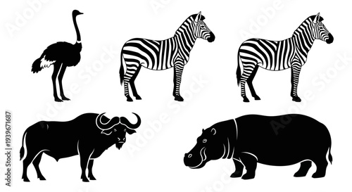 African Wildlife Silhouettes Collection: Ostrich, Zebras, Buffalo, and Hippopotamus