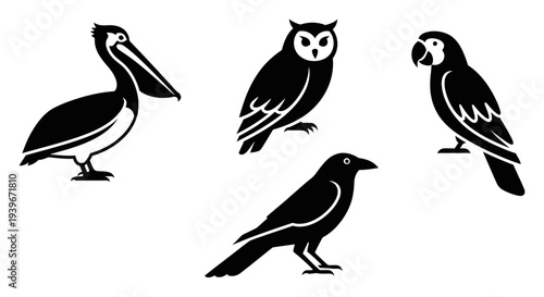 Bird Silhouettes Collection: Pelican, Owl, Parrot, and Crow Vector Icons