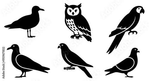 Bird Silhouettes Collection: Owl, Parrot, Seagull, and Pigeons Set