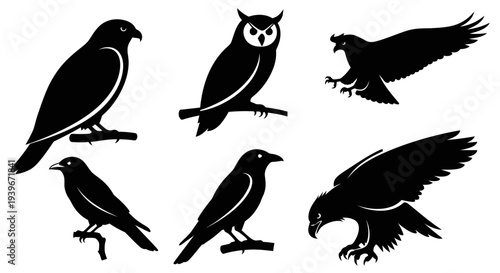 Bird Silhouettes Collection: Owl, Hawk, Crow, and Eagle Vector Art