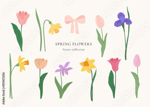 Hand drawn botanical set of spring flowers in vibrant colors. Elegant purple iris yellow narcissus and pink tulips with butterflies and bows. Perfect for wedding invitations and floral design.