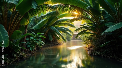 Golden light illuminates a calm river flowing through tropical foliage.