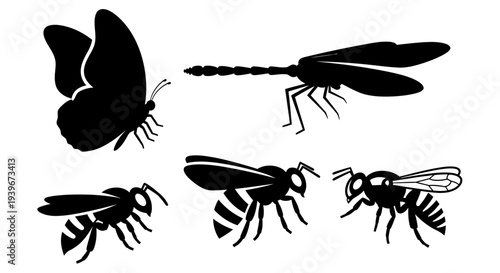 Black Silhouette Insects: Butterfly, Dragonfly, Bees, Wasps Vector Set