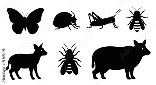 Collection of Diverse Animal and Insect Silhouettes on White Background
