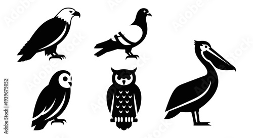 Diverse Bird Silhouettes Collection: Eagle, Pigeon, Owls, and Pelican Vector Icons