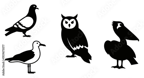 Diverse Bird Silhouettes Collection: Pigeon, Owl, Seagull, and Pelican Graphics