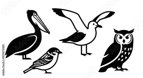 Diverse bird silhouettes collection: pelican, seagull, sparrow, and owl icons