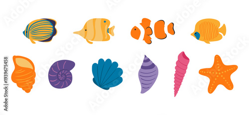 Coral reef fish, seashell, starfish illustration isolated set. Summer holidays, vacations, tropical resort, beach, marine wildlife. Flat design element, clip art collection, hand drawn vector