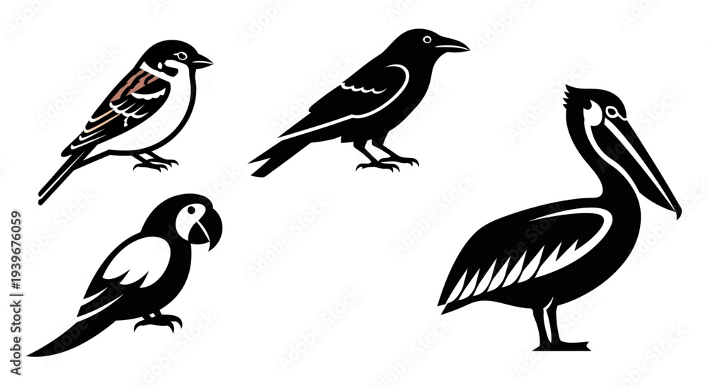 Fototapeta premium Diverse Bird Species Collection: Sparrow, Crow, Parrot, and Pelican Illustrations
