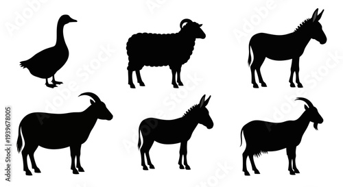 Farm Animals Silhouettes Set: Goose, Sheep, Donkeys, Goats Isolated on White Background