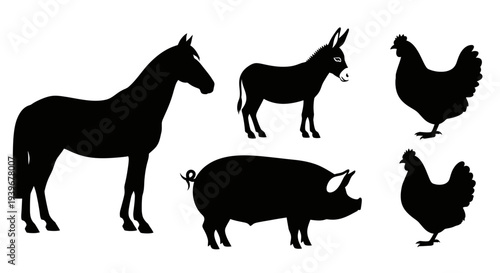 Farm Animals Silhouettes Set: Horse, Donkey, Pig, and Chickens Isolated on White