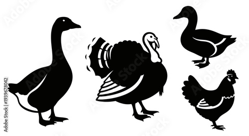 Farm Birds Silhouettes Set: Goose, Turkey, Duck, and Chicken Icons