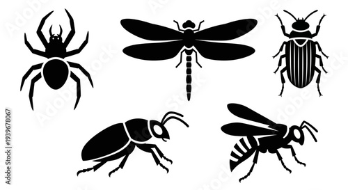 Insect and Arachnid Silhouettes Collection: Spider, Dragonfly, Beetle, Ant, and Wasp Icons