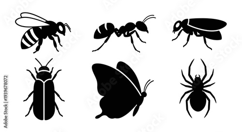 Insect and Bug Silhouettes Collection: Bee, Ant, Beetle, Butterfly, Spider Icons Set