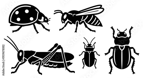 Insect Silhouettes Collection - Ladybug, Wasp, Grasshopper, Beetles