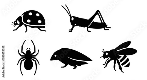 Insect and Spider Silhouettes Collection on White Background