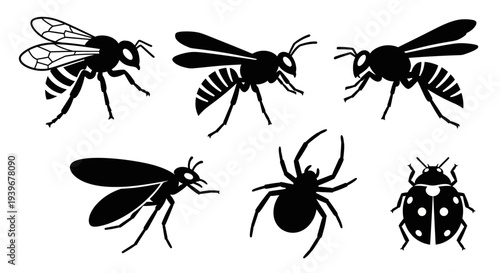 Insect and Bug Silhouettes Set: Wasp, Ant, Spider, Ladybug Vector Icons