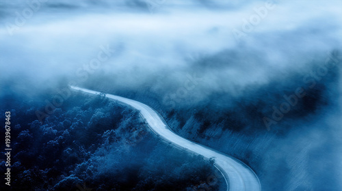 Wallpaper Mural Aerial View of Curved Road Through Dense Forest Torontodigital.ca