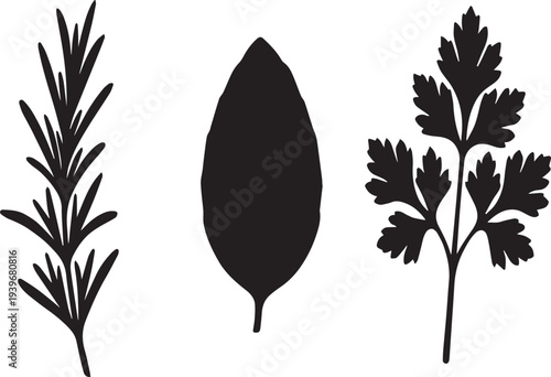 Aromatic Herb Silhouettes Collection