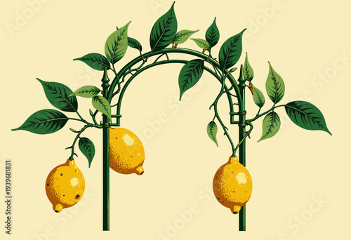 Illustration of a decorative arch adorned with ripe lemons and lush green leaves capturing the essence of citrus garden beauty and natural freshness