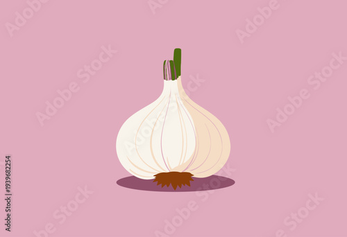 Illustration of a Whole Garlic Bulb with Green Sprout on a Subtle Pink Background, Displaying Its Smooth White Cloves and Rustic Root End