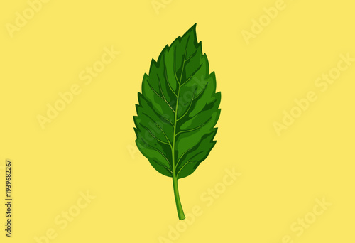 Illustration of a detailed green leaf with intricate vein patterns on a vibrant yellow background highlighting botanical beauty and simplicity