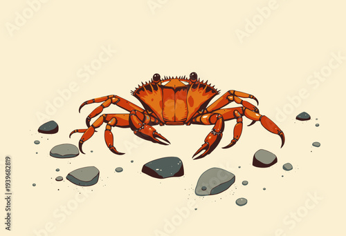 Illustration of a vibrant orange crab with detailed features showcasing its claws and legs surrounded by scattered pebbles on a light sandy background