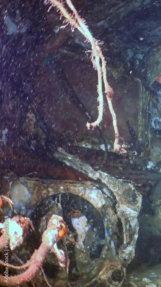 Ocean Decayed Corpse Explore the profound decay of a ship's structure, a magnificent relic ...