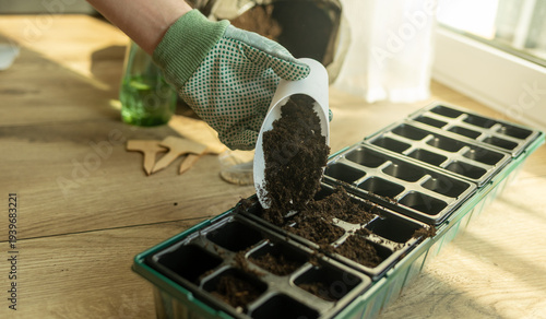 Fotografie Seed trays with soil and plant markers