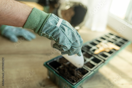 Obraz na plátně Seed trays with soil and plant markers