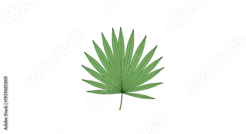 A single, vibrant green palm leaf with a distinct fan shape and numerous radiating fronds is centrally depicted against a white background.